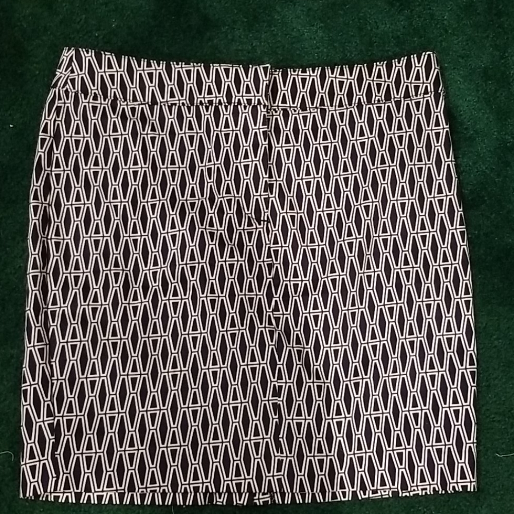 Ellen Tracy skirt